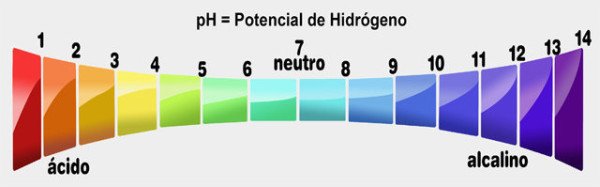 ¿Qué es el Potencial Hidrógeno (pH)?