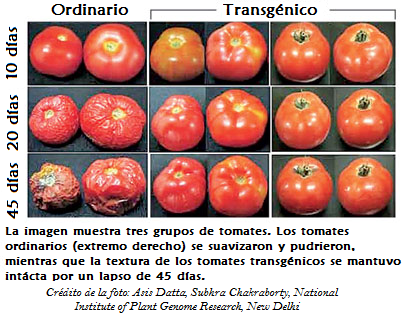 Imagen relacionada