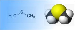 Resultado de imagen para dimetil sulfuro