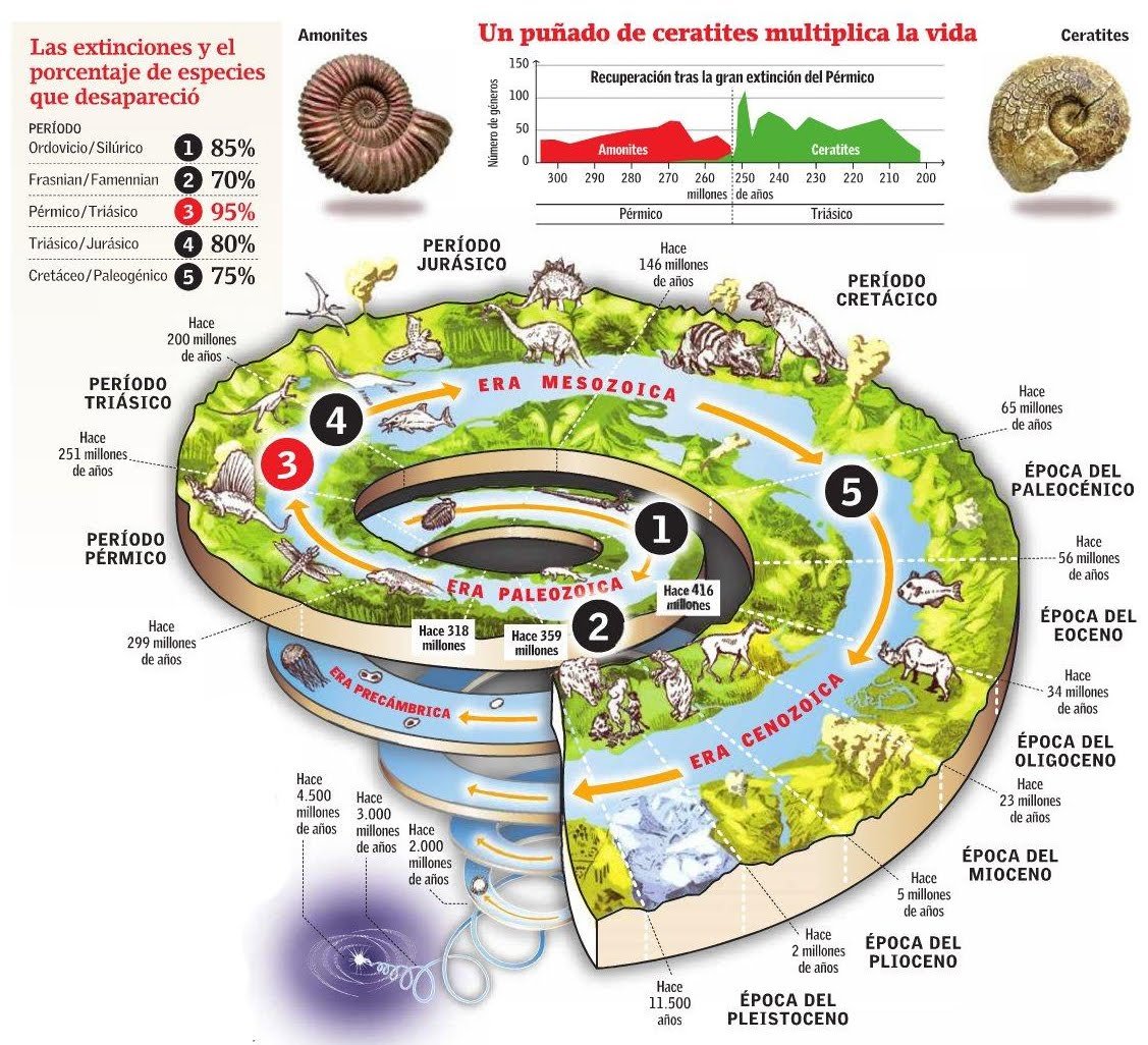 Imagen relacionada