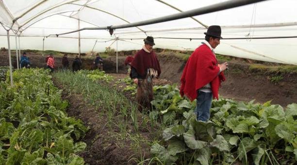 El rol de los profesionales agrícolas frente al poder del capital y el cambio de paradigma en la agricultura-microensayo