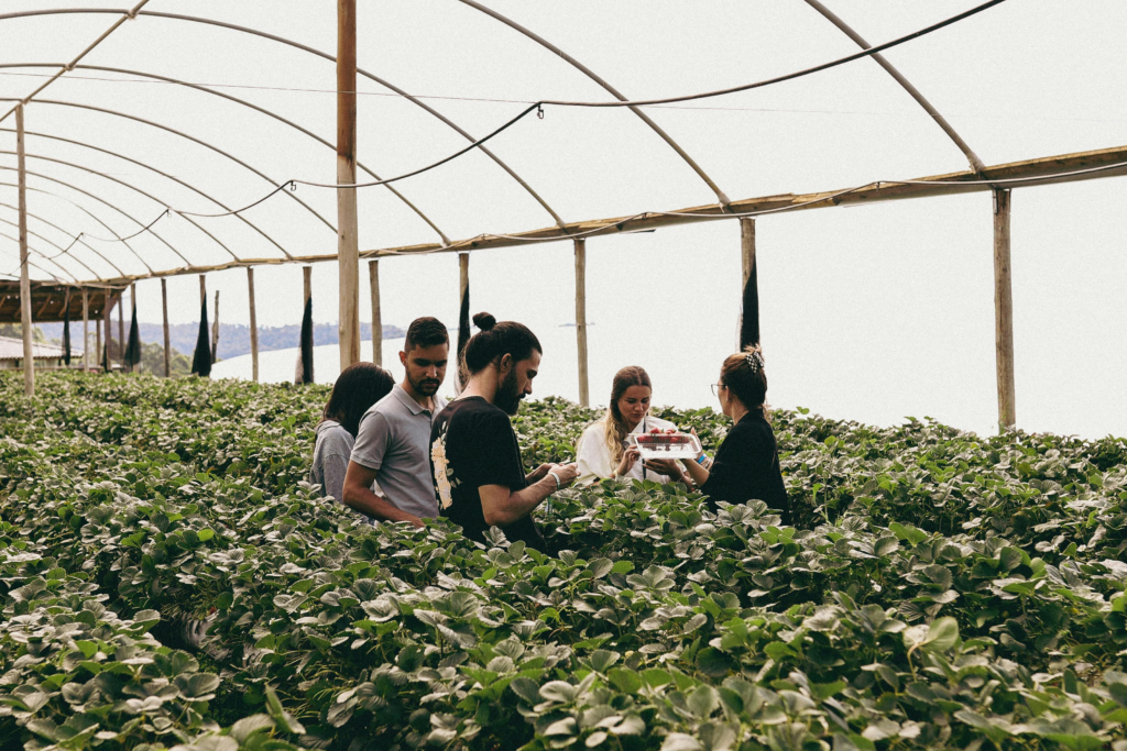 5 retos que la agricultura para los próximos 50 años 4 5 retos que la agricultura para los próximos 50 años