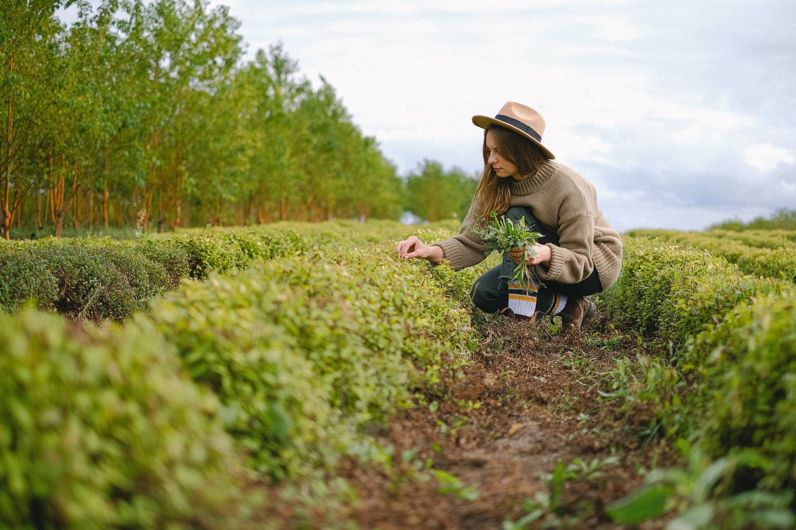 Las ciencias agrarias frente al cambio climático