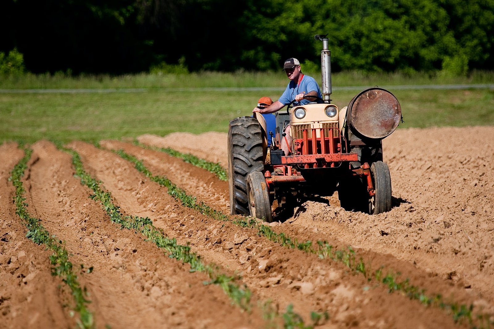 Planificación de la Maquinaria Agrícola