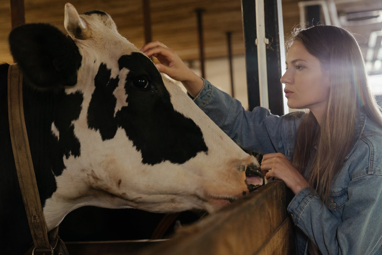 Plantillas SOLVER y MACROS para la planificación de nutrición animal – Ing. Francisco Gutiérrez FAG-UCE