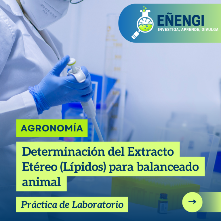 determinación de extracto etéreo