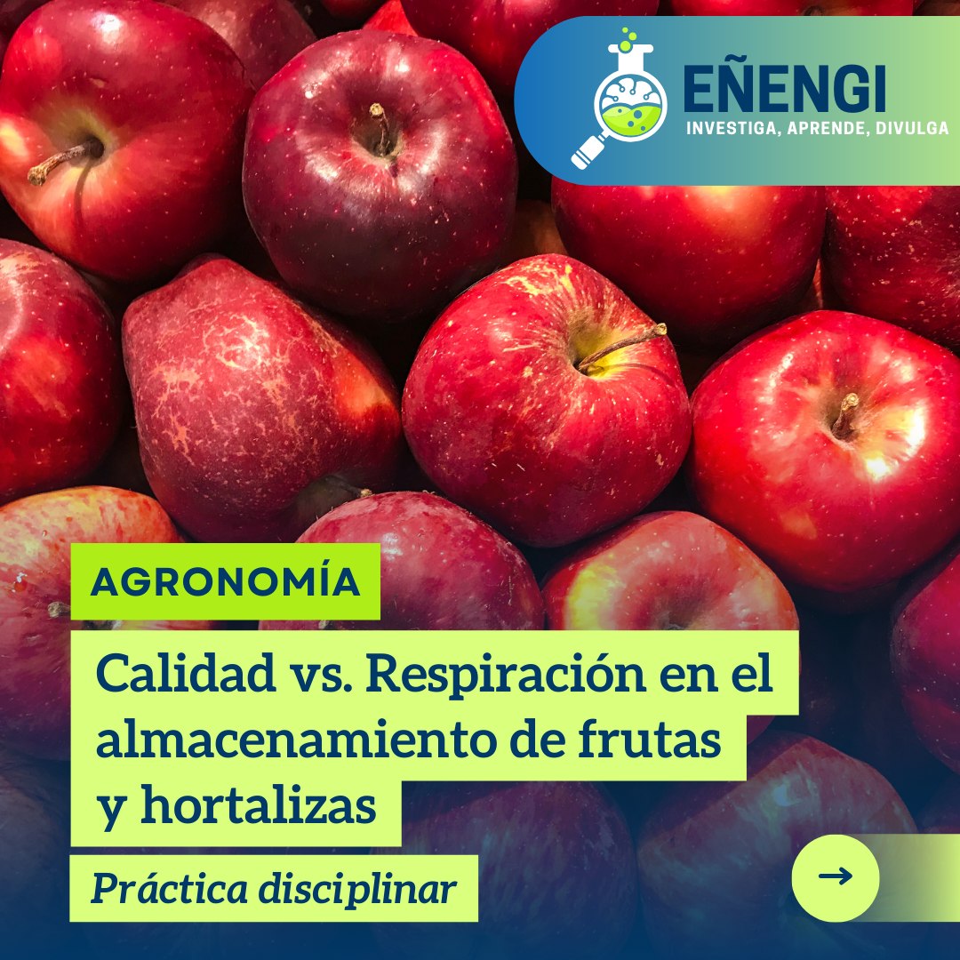 Calidad vs. Respiración en el almacenamiento de frutas y hortalizas. Informe disciplinar.