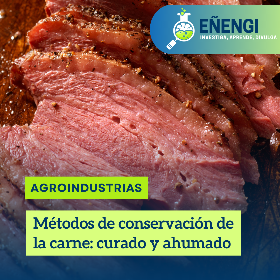 Métodos de conservación de la carne: curado y ahumado