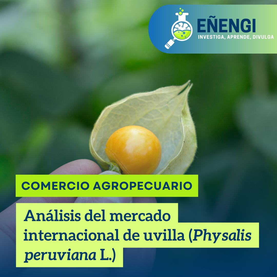 Análisis del mercado internacional de uvilla (Physalis peruviana L.)