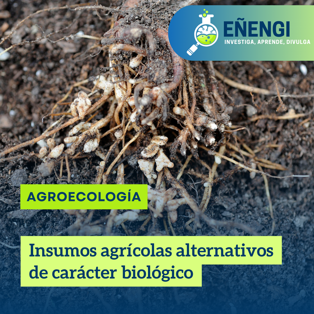 Insumos agrícolas alternativos de carácter biológico