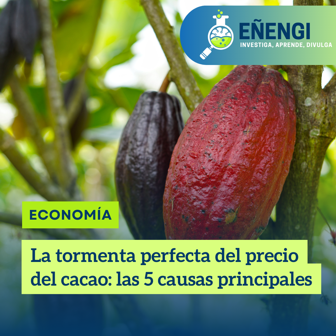 La tormenta perfecta del precio del cacao: las 5 causas principales