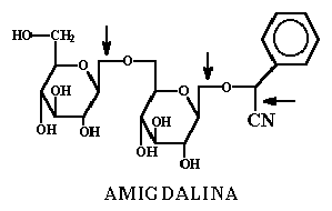 Resultado de imagen para amigdalina