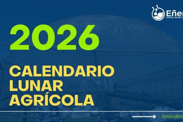 Calendario Lunar 2026